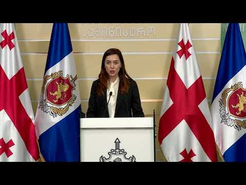 შინაგან საქმეთა მინისტრის მოადგილის - ნინო ცაციაშვილის ბრიფინგი